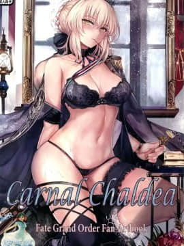 (C95) [天香屋 (ミサカ12003)] Carnal Chaldea (FateGrand Order) [空気系☆漢化]