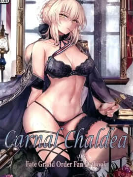 (C95) [天香屋 (ミサカ12003)] Carnal Chaldea (FateGrand Order) [空気系☆漢化]_001