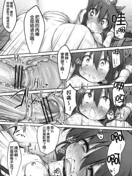 [狼娘汉化] (サンクリ49) 【Marked-two] ふみちゃんの観察日記 (下)_026