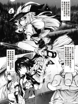 [好想玩梗汉化组](C81) [Marked-two (まーくん)] 魔理沙は大変な調教を受けてしまいました (東方Project)_04