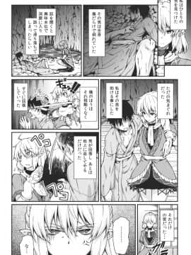 (紅楼夢9) [広十練習帖 (広弥)] 彼女の瞳は何色か (東方Project)_03