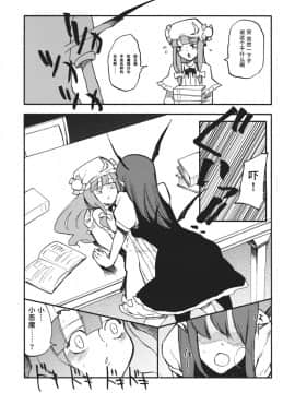 [水土不服汉化组] (C80) [白ネギ屋 (miya9)] ワイセツ図書館 (東方Project)__007