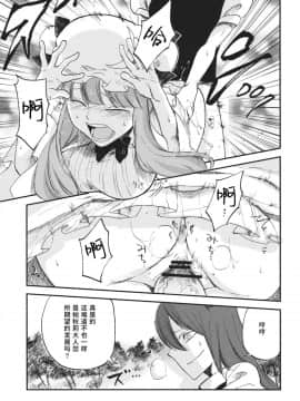 [水土不服汉化组] (例大祭10) [白ネギ屋 (miya9)] 曇天ライブラリー (東方Project)__015