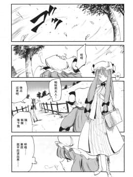 [水土不服汉化组] (例大祭10) [白ネギ屋 (miya9)] 曇天ライブラリー (東方Project)__007