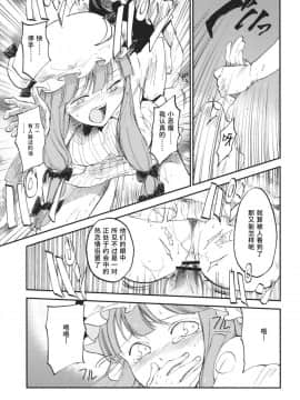 [水土不服汉化组] (例大祭10) [白ネギ屋 (miya9)] 曇天ライブラリー (東方Project)__017