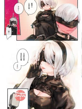 [阿歐印的巡禮日 (阿歐印)] 2B9S (ニーア オートマタ) [中国語] [DL版]_16