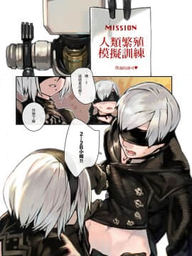 [阿歐印的巡禮日 (阿歐印)] 2B9S (ニーア オートマタ) [中国語] [DL版]_04