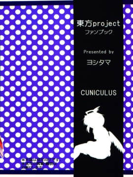 [oo君個人漢化] (例大祭8) [CUNICULUS (ヨシタマ)] 名も無き愛の唄 名無し本読み妖怪編 (東方Project)_026