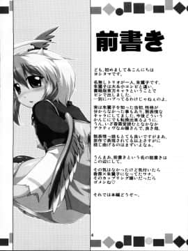 [oo君個人漢化] (例大祭8) [CUNICULUS (ヨシタマ)] 名も無き愛の唄 名無し本読み妖怪編 (東方Project)_003