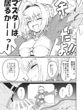 (C95) [老眼郷 (老眼)] ネロねろ! (FateGrand Order)_24