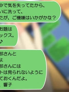 (同人CG集) [なのかH] NTRダイアリー～人妻、響子の日記～_432_87