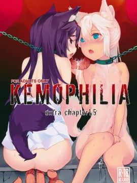 [靴下汉化组] (C89) [IRIOMOTE (沙流)] KEMO PHILIA 1.5_02