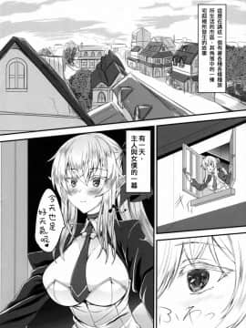 [布魯斯個人漢化] (C91) [そろのさん家 (sorono)] すきすきご主人様 -メイドエルフさんに襲われたい-_04