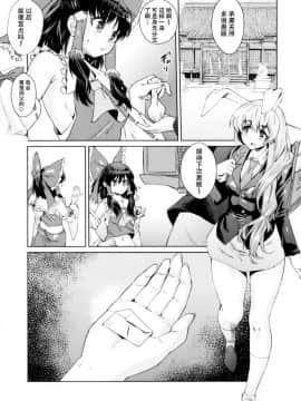 [脸肿汉化组](C92) [ロケット調査室 (コザ,あべもりおか)] お薬飲んだ、ソノアトハ・・・ (東方Project)_17