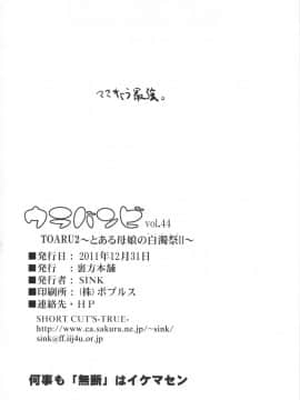 [不咕鸟汉化组](C81) [裏方本舗 (SINK)] ウラバンビvol.44 TOARU2 ～とある母娘の白濁祭II～ (とある魔術の禁書目録)_25