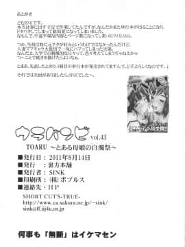 [不咕鸟汉化组](C80) [裏方本舗 (SINK)] ウラバンビvol.43 TOARU ～とある母娘の白濁祭～ (とある魔術の禁書目録)_25