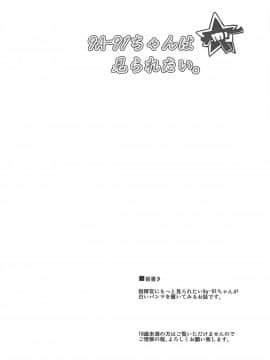 (C95) [何処までも蒼い空に浮かぶ肉。 (肉そうきゅー。)] 9a-91ちゃんは見られたい。 (少女前線)_003