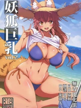 [无毒汉化组] (C96) [BRAVE HEART petit (KOJIROU!)] 妖狐巨乳vol. 2 (Fate／Grand Order) [中国翻訳]