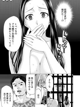 [白石なぎさ] 淑女はまだ、妻でも母でもなく_147