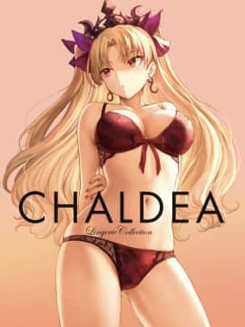 [ましゅー] 下着モデル｜CHALDEA Lingerie Collection (Fate／Grand Order)_0032