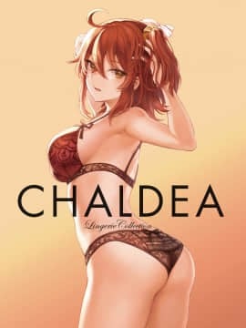 [ましゅー] 下着モデル｜CHALDEA Lingerie Collection (Fate／Grand Order)_0035