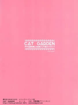 [靴下汉化组] (C95) [CAT GARDEN (ねこてゐ)] アナルは性交に入らないって本当ですか！？ (FateGrand Order) [中国翻訳]_008