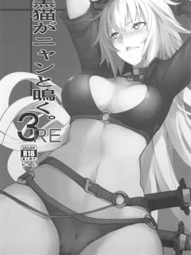 (C96) [IRON GRIMOIRE (SAKULA)] 黒猫がニャンと鳴く。3RE (FateGrand Order)_002