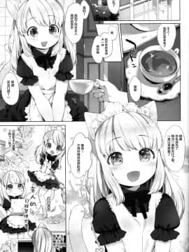 [萝莉援助汉化组] (C90) [ANCHOR (武藤まと)] My Little Maid 2_02