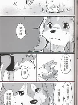 (関西!けもケット7) [回転ParaDOGs (奈賀つくね)] 嘘つきたちの『 』 [中国翻訳]_21