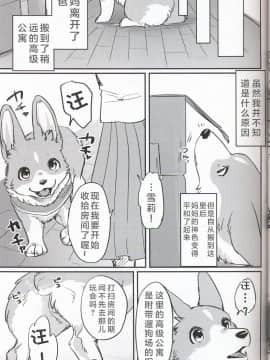 (関西!けもケット7) [回転ParaDOGs (奈賀つくね)] 嘘つきたちの『 』 [中国翻訳]_15