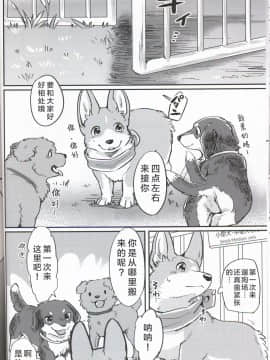 (関西!けもケット7) [回転ParaDOGs (奈賀つくね)] 嘘つきたちの『 』 [中国翻訳]_16