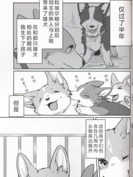 (関西!けもケット7) [回転ParaDOGs (奈賀つくね)] 嘘つきたちの『 』 [中国翻訳]_05