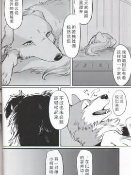 (関西!けもケット7) [回転ParaDOGs (奈賀つくね)] 嘘つきたちの『 』 [中国翻訳]_10