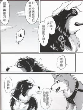 (関西!けもケット7) [回転ParaDOGs (奈賀つくね)] 嘘つきたちの『 』 [中国翻訳]_08