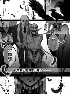 [脸肿汉化组] [Digital] [H.B.A (うさぎなごむ)] 黄昏の娼エルフ5 [中国翻訳] [DL版]_036