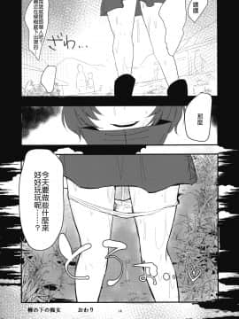 [沒有漢化] (例大祭12) [賛成日和 (あぐり)] 柳の下の痴女 (東方Project)_13