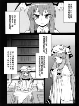 (C88) [110-GROOVE (イトウゆーじ)] 小悪魔のパチュリー観察記 (東方Project)  [彷徨水面个人汉化]_03