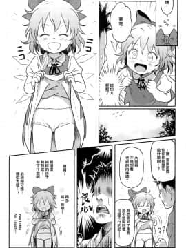 [命蓮寺漢化組] (C97) [こまねすと (クックロビン)] すごいよっ!チルノちゃん! (東方Project)_06