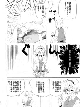 [乌冬汉化组] (例大祭10) [戦いの軌跡 (戦友)] はじめてのびやく (東方Project)_06