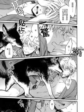 [ALL银时吧汉化组] [3745HOUSE, 鉄火G (ミカミタケル, 貼)] HOW to SPOIL YOUR DOG (銀魂)_23