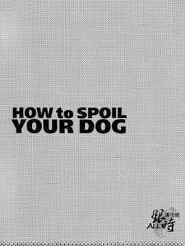 [ALL银时吧汉化组] [3745HOUSE, 鉄火G (ミカミタケル, 貼)] HOW to SPOIL YOUR DOG (銀魂)_03