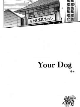 [ALL银时吧汉化组] [3745HOUSE, 鉄火G (ミカミタケル, 貼)] HOW to SPOIL YOUR DOG (銀魂)_06