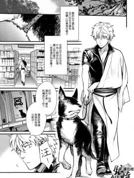 [ALL银时吧汉化组] [3745HOUSE, 鉄火G (ミカミタケル, 貼)] HOW to SPOIL YOUR DOG (銀魂)_11