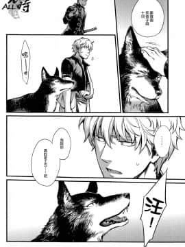 [ALL银时吧汉化组] [3745HOUSE, 鉄火G (ミカミタケル, 貼)] HOW to SPOIL YOUR DOG (銀魂)_10