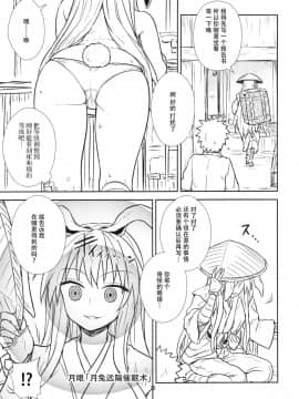 [脸肿汉化组] (秋季例大祭3) [110-GROOVE (イトウゆーじ)] 鈴仙さんvs透視メガネ (東方Project)_12