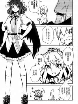 [Kanade汉化组] (C92) [110-GROOVE (イトウゆーじ)] 文さんと秘密作り (東方Project)_12