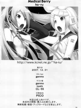 (C73) [Medical Berry (CL-55, ha-ru)] Mixture (VOCALOID2)_017