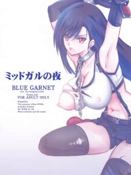 [BLUE GARNET (芹沢克己)] ミッドガルの夜 (ファイナルファンタジー VII) [空気系☆漢化]_23