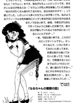 [不咕鸟汉化组] (C82) [Rat Tail (Irie Yamazaki)] TAIL-MAN SAILORMOON 3GIRLS BOOK (美少女戦士セーラームーン)_33