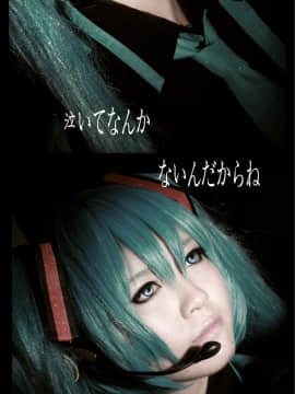 Coser SesshuAsuak (半半子) [BCY@33957] (2017-04-29)_[VOCALOID]{初音}[20131121][BCY 6664-22309] 007